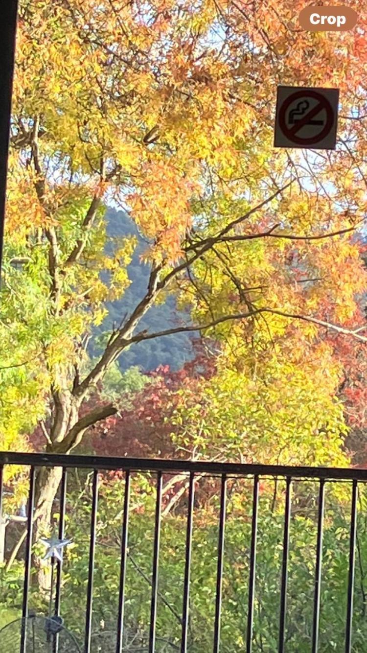 Yarra Ranges Country