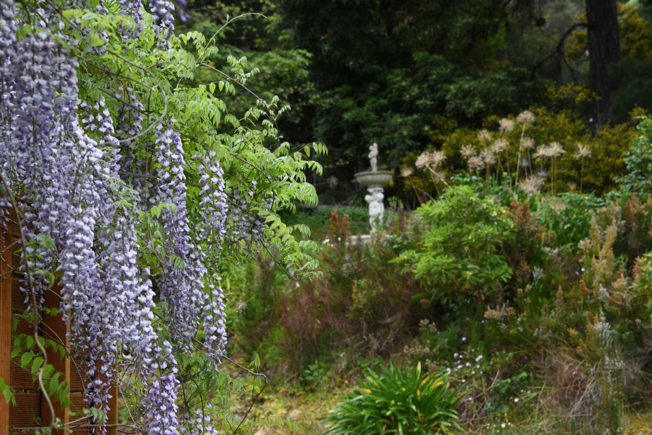 Yarra Ranges Country Mount Evelyn